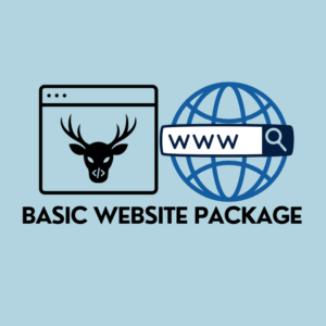 MooseWeb Design Basic Website Package icon – browser window and globe